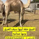 للبيع