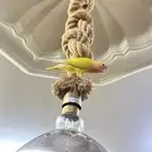 روز اليف وهدد