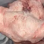 ليه غنم حري