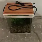 حوض السمك