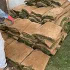 انجيله ثيل طبيعي