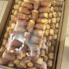 صقعي معرم مطوق فاخر وزن 6 كيلو