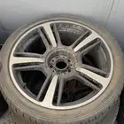 جنوط روز للبيع اصلي وكاله