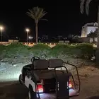 قولفcar