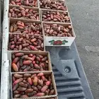تمر صفري وبرني خرفه للبيع