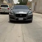 جاكوار مصدوم 2016