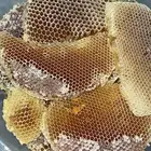 عسل سدر صافي وشمع