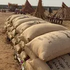 حب بلدي للبيع ( أبيض  أحمر) جديد