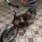 رامبو اندنوسي مصبوغ