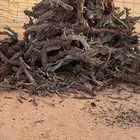 دفاية الشتاء