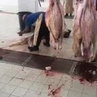 ذبايح