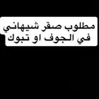 مطلوب صقر شيهاني