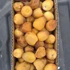 خرفه صفري بيشه