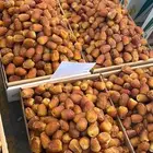 يوجد لدينا جميع انواع التمور