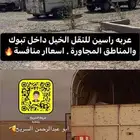 عربه خيل نقل راسين تبوك والمناطق المجاوره