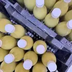 ليمون حساوي مشمس ((حمض))
