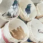 حمام باكستاني