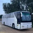 باص للنقل والإيجار القصيم داخل وخارج