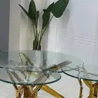 طاولة قهوة واربع طاولات خدمه