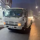 دينا مشاوير