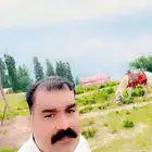 zahid