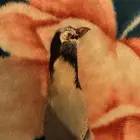 تم البيع خارج تطبيق