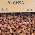 تمر علف نظيف