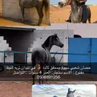 حصان شعبي