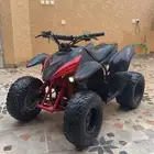 دباب الوسيط