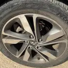 جنوط النترا