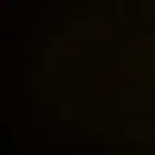 مطلوب خيل او فرس او مهر عربي