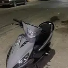 دباب أم بلوف رمادي