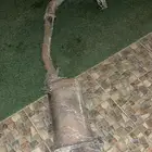 هدرز و دبه للبيع