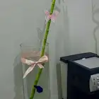 نبتة ساق البامبو مع سمكة الفايتر (بيتا)