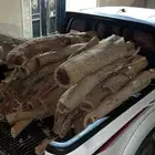 سمر مستورد وكفو كم ماوضح بصوره