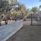 زريبة غنم جاهزه