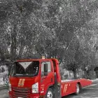 سطحه المدينه المنوره داخل وخارج المدينه