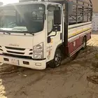 اسيزو 2022 دينا