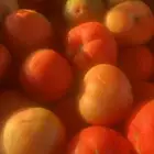 توريد خضار وفواكه