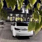جنسس