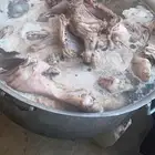 الرياض