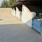 اسطبل كامل للاجار