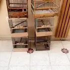 6شبوك خشب