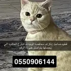 قطوه ضيعتها والي يحصلها يدق على الرقم الي بصوره