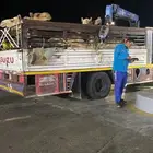 ديانه ونش للنقل الابل