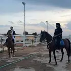 تدريب فروسيه الخرج النجديه