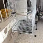 قفص كبير معى ستاند كبير