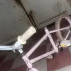 سيكل بناتي