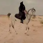 حصان لبيع عمره 4