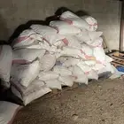 تمر ل الحلال حشف 200 كيس تقريبن
